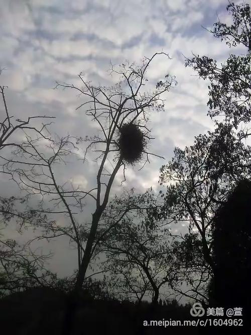 云影天光拾趣