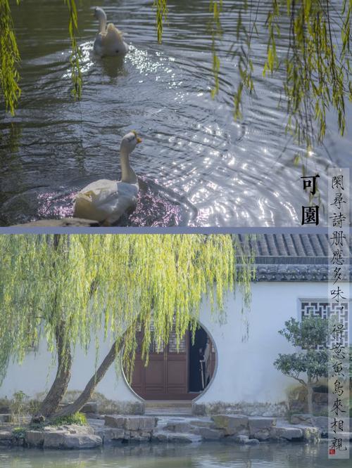游园惊梦